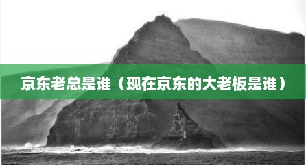 京东老总是谁（现在京东的大老板是谁）