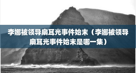 李娜被领导扇耳光事件始末（李娜被领导扇耳光事件始末是哪一集）
