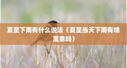 夏至下雨有什么说法（夏至当天下雨有啥寓意吗）