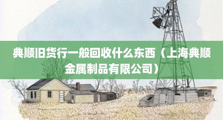 典顺旧货行一般回收什么东西（上海典顺金属制品有限公司）