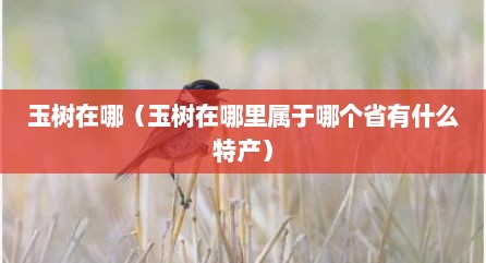 玉树在哪（玉树在哪里属于哪个省有什么特产）