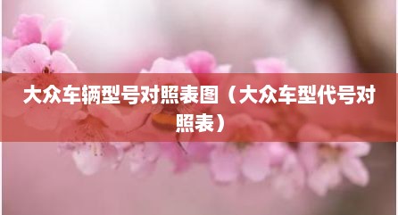 大众车辆型号对照表图（大众车型代号对照表）
