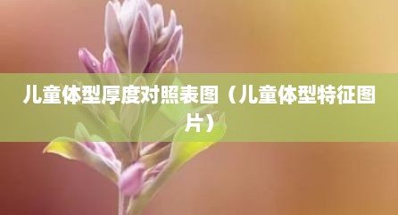 儿童体型厚度对照表图（儿童体型特征图片）