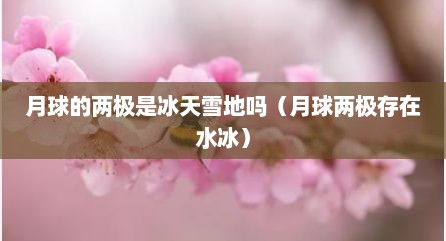 月球的两极是冰天雪地吗（月球两极存在水冰）