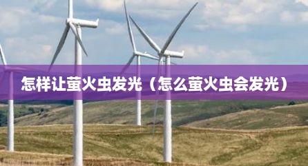 怎样让萤火虫发光（怎么萤火虫会发光）