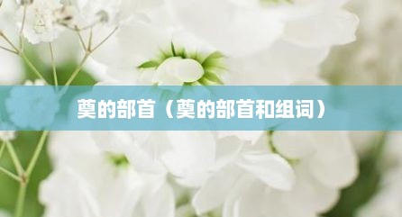 奠的部首（奠的部首和组词）