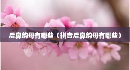 后鼻韵母有哪些（拼音后鼻韵母有哪些）