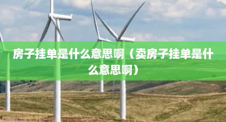 房子挂单是什么意思啊（卖房子挂单是什么意思啊）