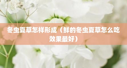 冬虫夏草怎样形成（鲜的冬虫夏草怎么吃效果最好）