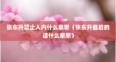 张东升禁止入内什么意思（张东升最后的话什么意思）