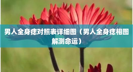 男人全身痣对照表详细图（男人全身痣相图解测命运）