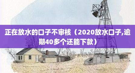 正在放水的口子不审核（2020放水口子,逾期40多个还能下款）
