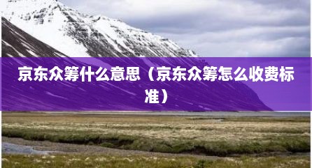 京东众筹什么意思（京东众筹怎么收费标准）
