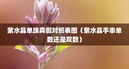 紫水晶单珠真假对照表图（紫水晶手串单数还是双数）