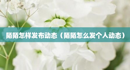 陌陌怎样发布动态（陌陌怎么发个人动态）
