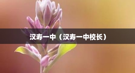 汉寿一中（汉寿一中校长）