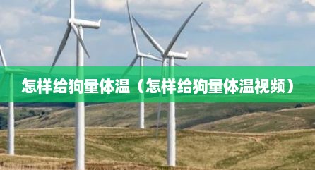 怎样给狗量体温（怎样给狗量体温视频）