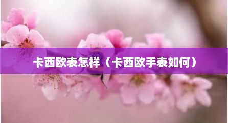 卡西欧表怎样（卡西欧手表如何）