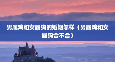 男属鸡和女属狗的婚姻怎样（男属鸡和女属狗合不合）