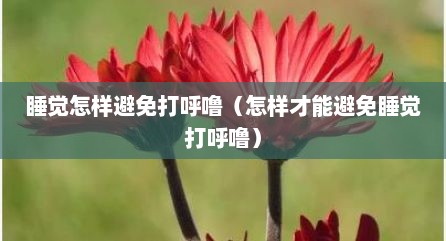 睡觉怎样避免打呼噜（怎样才能避免睡觉打呼噜）