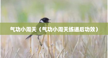 气功小周天（气功小周天练通后功效）