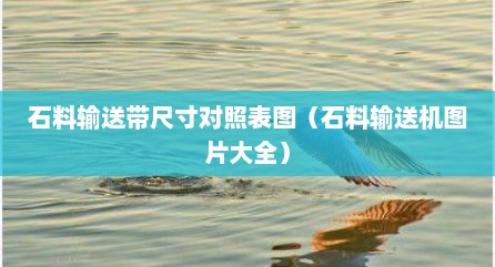 石料输送带尺寸对照表图（石料输送机图片大全）