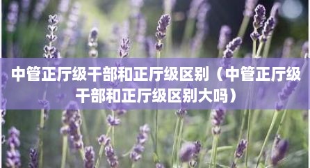 中管正厅级干部和正厅级区别（中管正厅级干部和正厅级区别大吗）