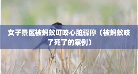 女子景区被蚂蚁叮咬心脏骤停（被蚂蚁咬予死予的案例）