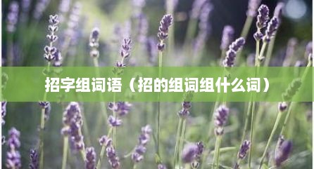 招字组词语（招的组词组什么词）