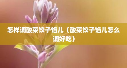 怎样调酸菜饺子馅儿（酸菜饺子馅儿怎么调好吃）