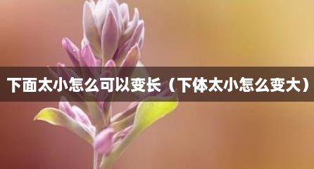 下面太小怎么可以变长（下体太小怎么变大）