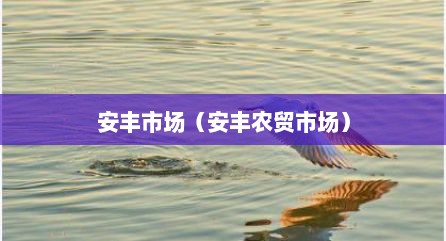 安丰市场（安丰农贸市场）