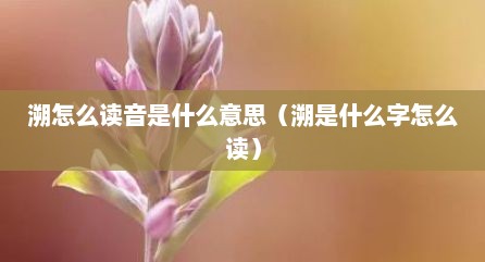 溯怎么读音是什么意思（溯是什么字怎么读）