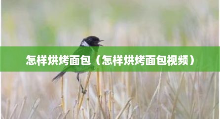 怎样烘烤面包（怎样烘烤面包视频）