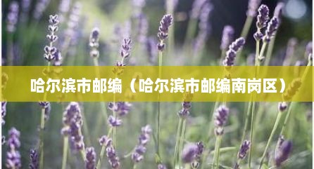 哈尔滨市邮编（哈尔滨市邮编南岗区）