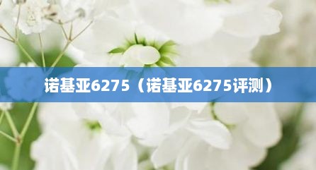 诺基亚6275（诺基亚6275评测）