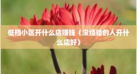 低档小区开什么店赚钱（没经验的人开什么店好）