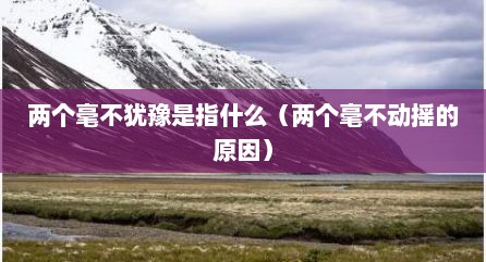 两个毫不犹豫是指什么（两个毫不动摇的原因）