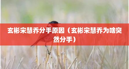 玄彬宋慧乔分手原因（玄彬宋慧乔为啥突然分手）