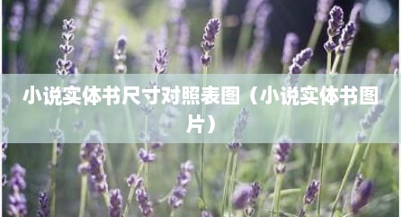 小说实体书尺寸对照表图（小说实体书图片）