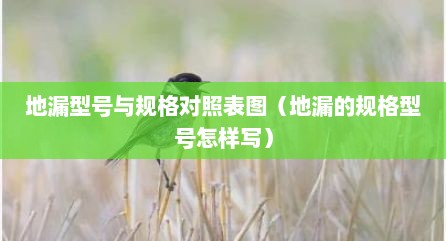 地漏型号与规格对照表图（地漏的规格型号怎样写）