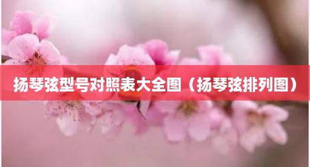 扬琴弦型号对照表大全图（扬琴弦排列图）