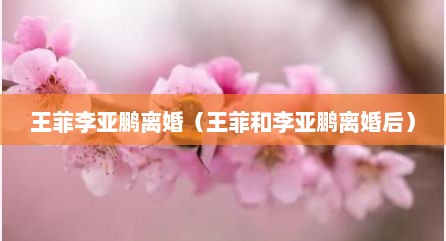 王菲李亚鹏离婚（王菲和李亚鹏离婚后）