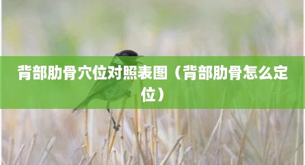 背部肋骨穴位对照表图（背部肋骨怎么定位）