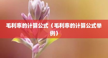 毛利率的计算公式（毛利率的计算公式举例）