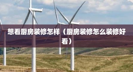 想看厨房装修怎样（厨房装修怎么装修好看）