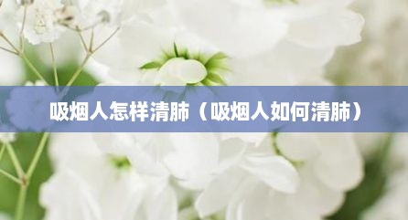 吸烟人怎样清肺（吸烟人如何清肺）