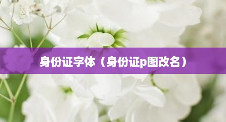 身份证字体（身份证p图改名）