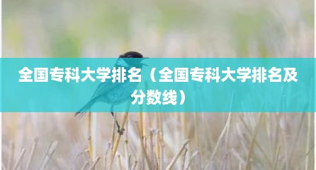 全国专科大学排名（全国专科大学排名及分数线）