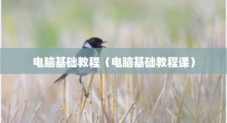 电脑基础教程（电脑基础教程课）